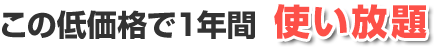 この低価格で１年間使い放題